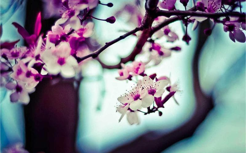 Mamboleo Junction Commercial Land — thumbnail 1