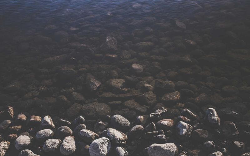 Naivasha Flower Belt — 1.5 Acres